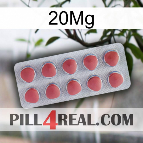 20Mg 18.jpg